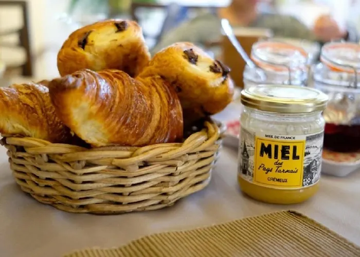 De La Boissiere فندق مبيت وإفطار Andillac