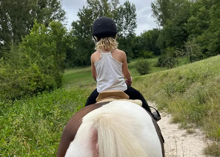 De La Boissiere فندق مبيت وإفطار Andillac