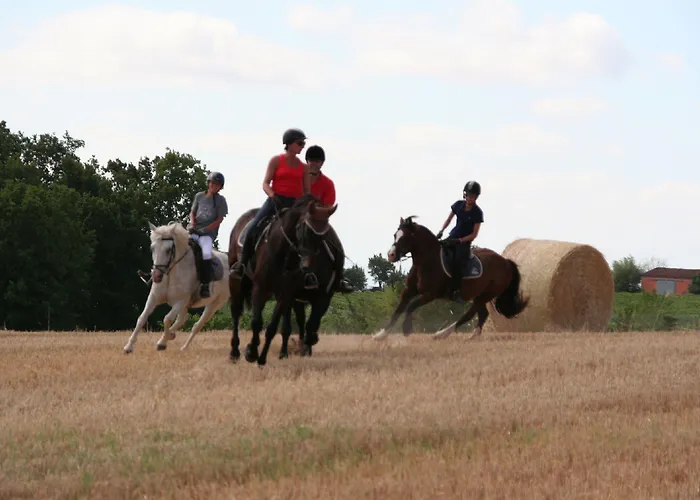 De La Boissiere فندق مبيت وإفطار Andillac