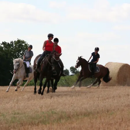 De La Boissiere Bed & Breakfast Andillac
